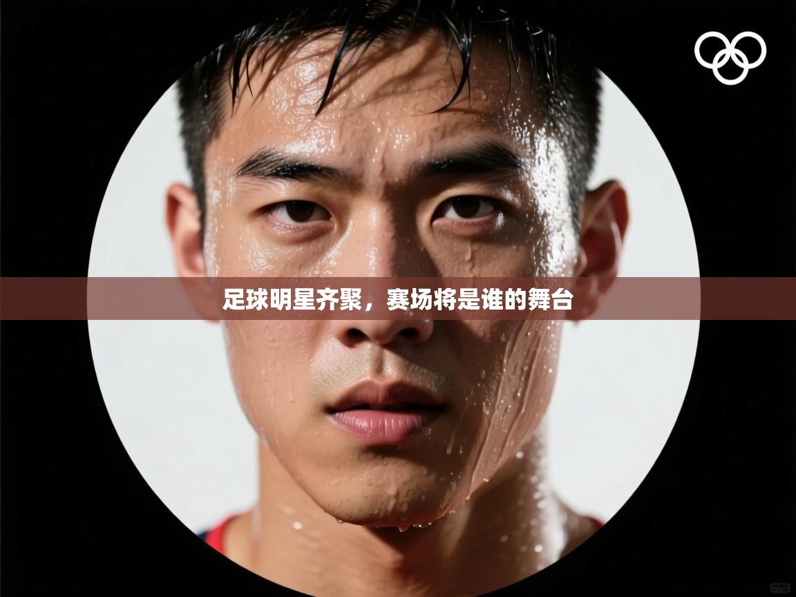 开云体育app下载官网-足球明星齐聚,赛场将是谁的舞台 第4张