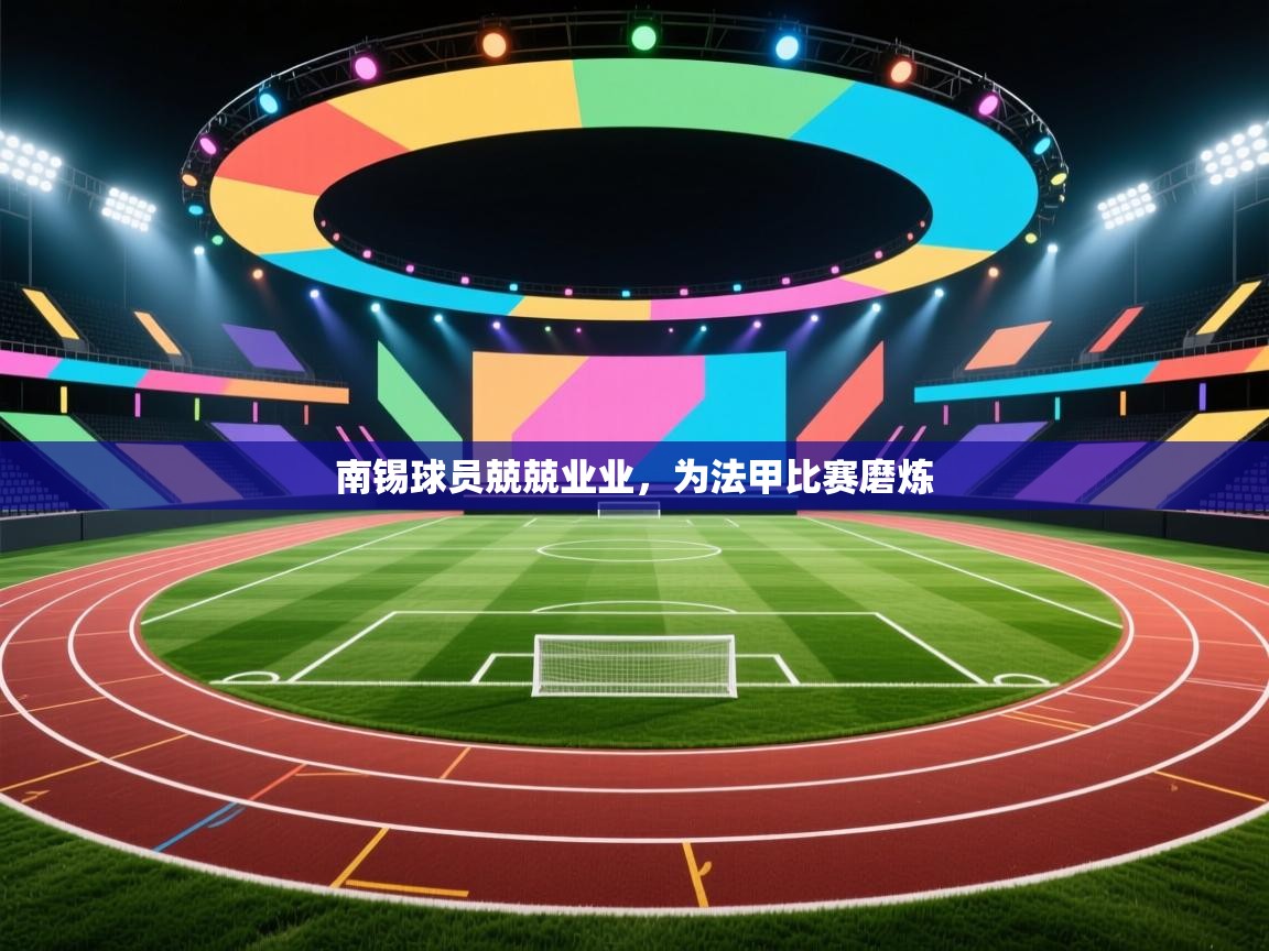 开云体育注册下载-南锡球员兢兢业业,为法甲比赛磨炼 第3张