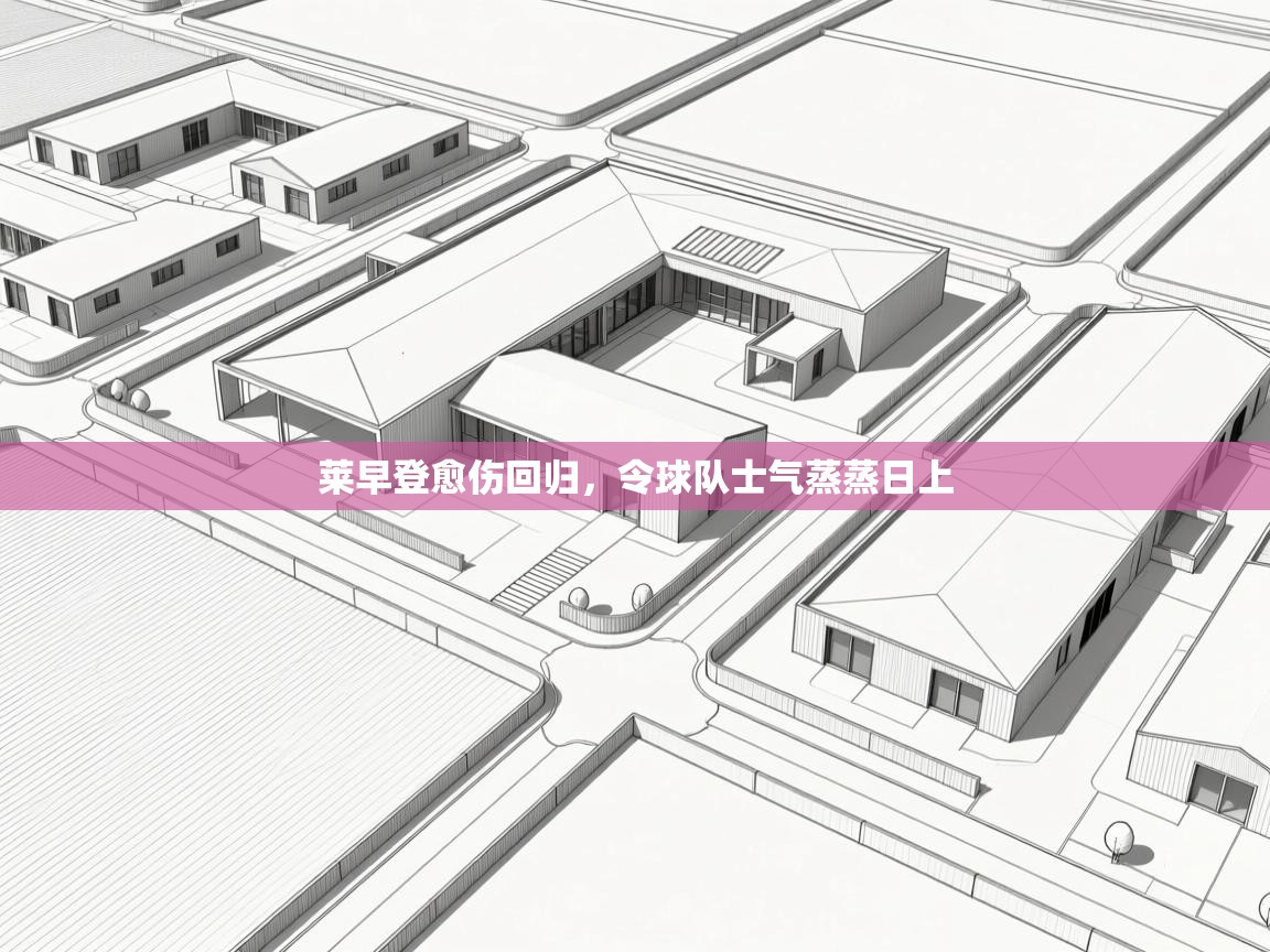 开云手机版-莱早登愈伤回归，令球队士气蒸蒸日上  第2张