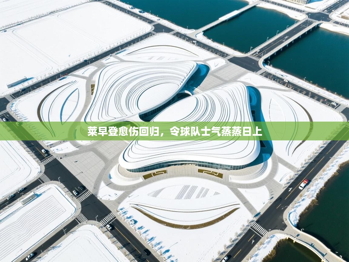 开云手机版-莱早登愈伤回归，令球队士气蒸蒸日上  第3张