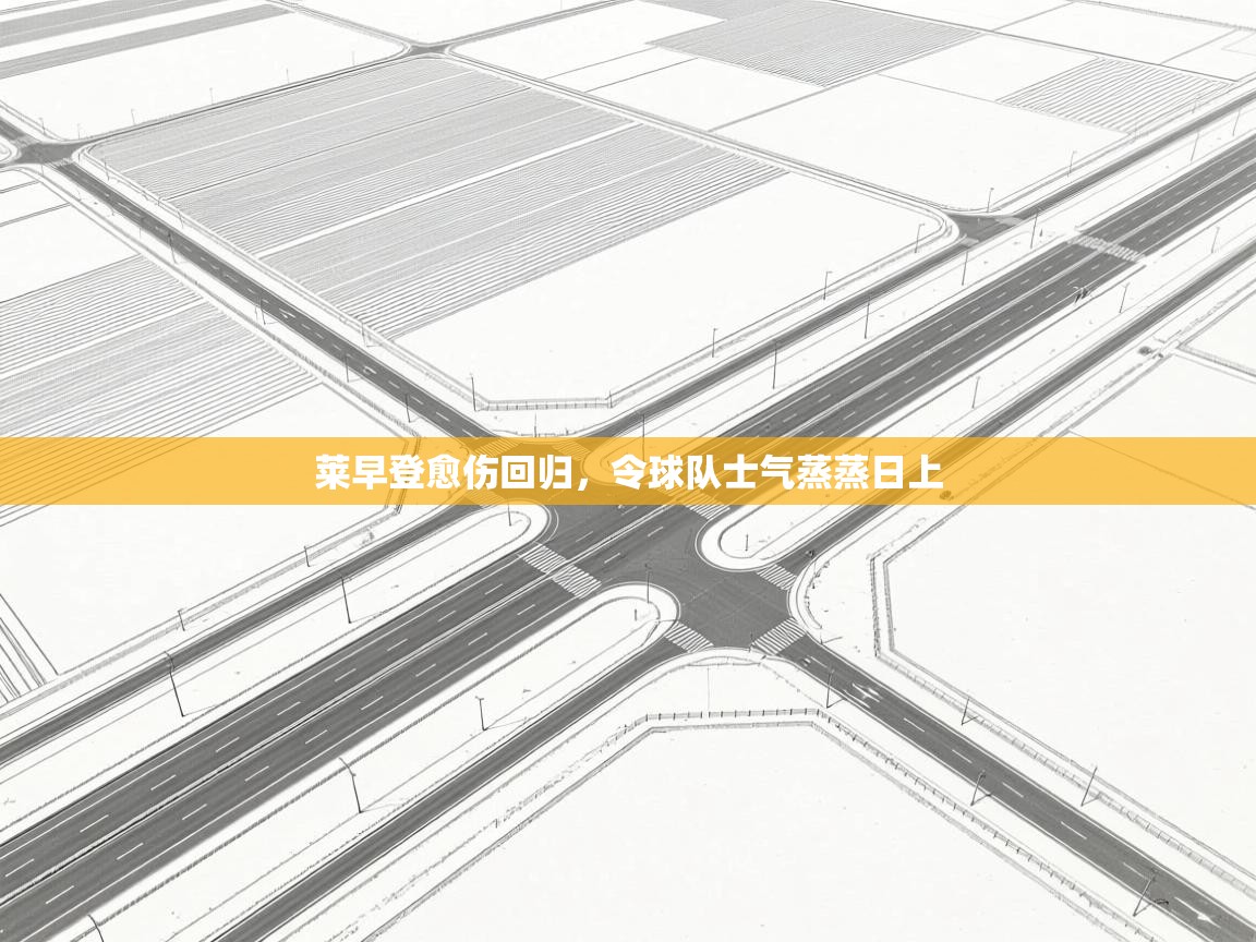 开云手机版-莱早登愈伤回归，令球队士气蒸蒸日上  第4张