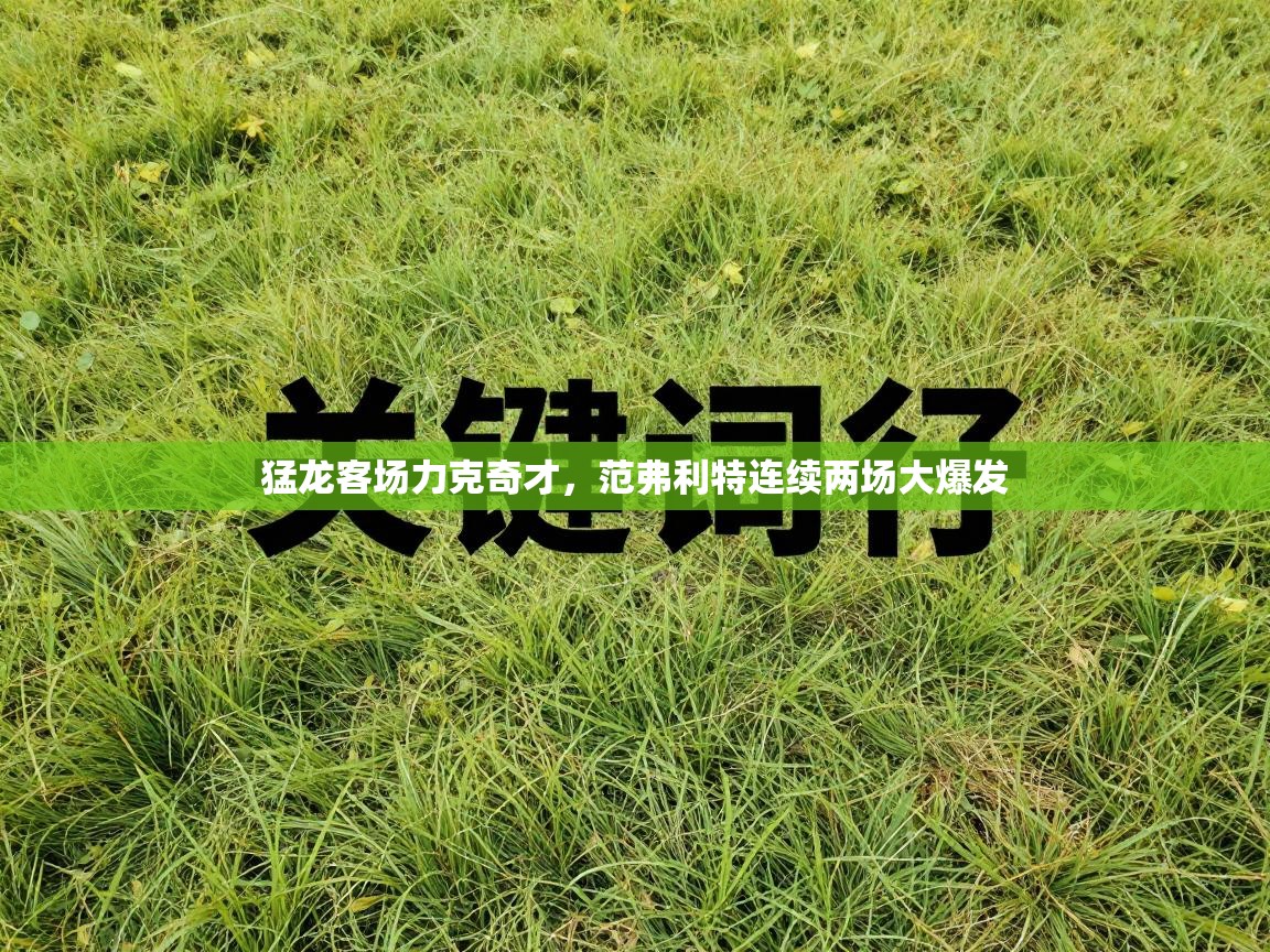 云开体育app官网登录入口-猛龙客场力克奇才,范弗利特连续两场大爆发 第1张