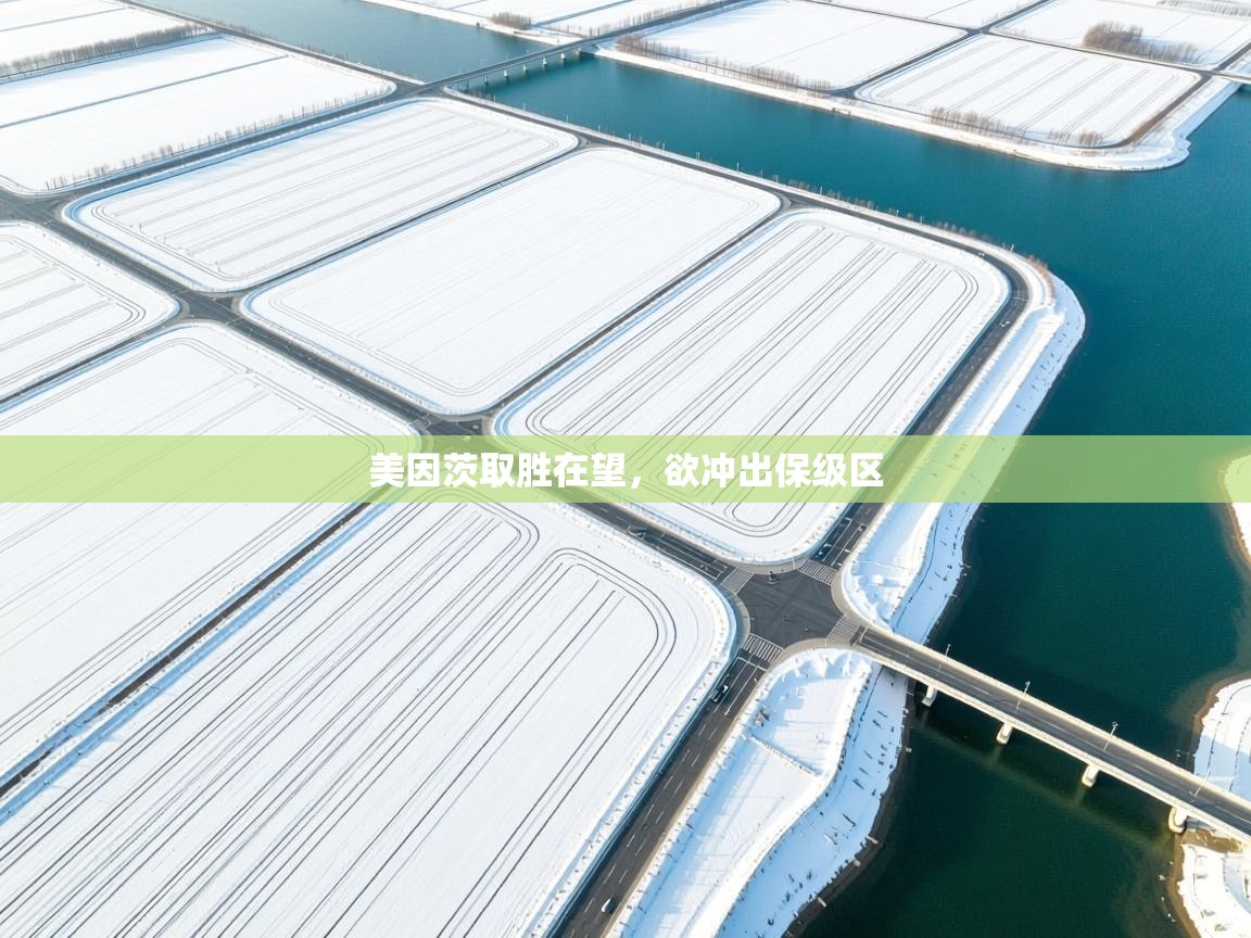 开云体育实名认证入口-美因茨取胜在望，欲冲出保级区  第2张