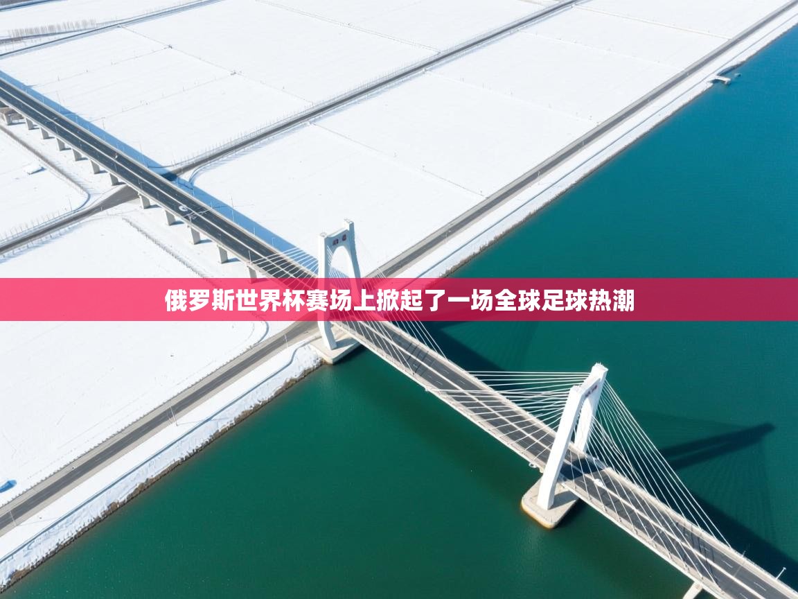 开云体育登录入口网址-俄罗斯世界杯赛场上掀起了一场全球足球热潮 第2张