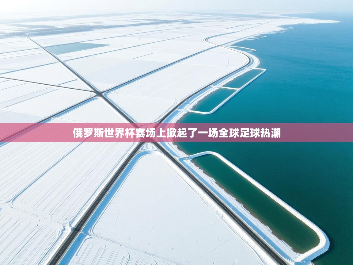 开云体育登录入口网址-俄罗斯世界杯赛场上掀起了一场全球足球热潮 第4张