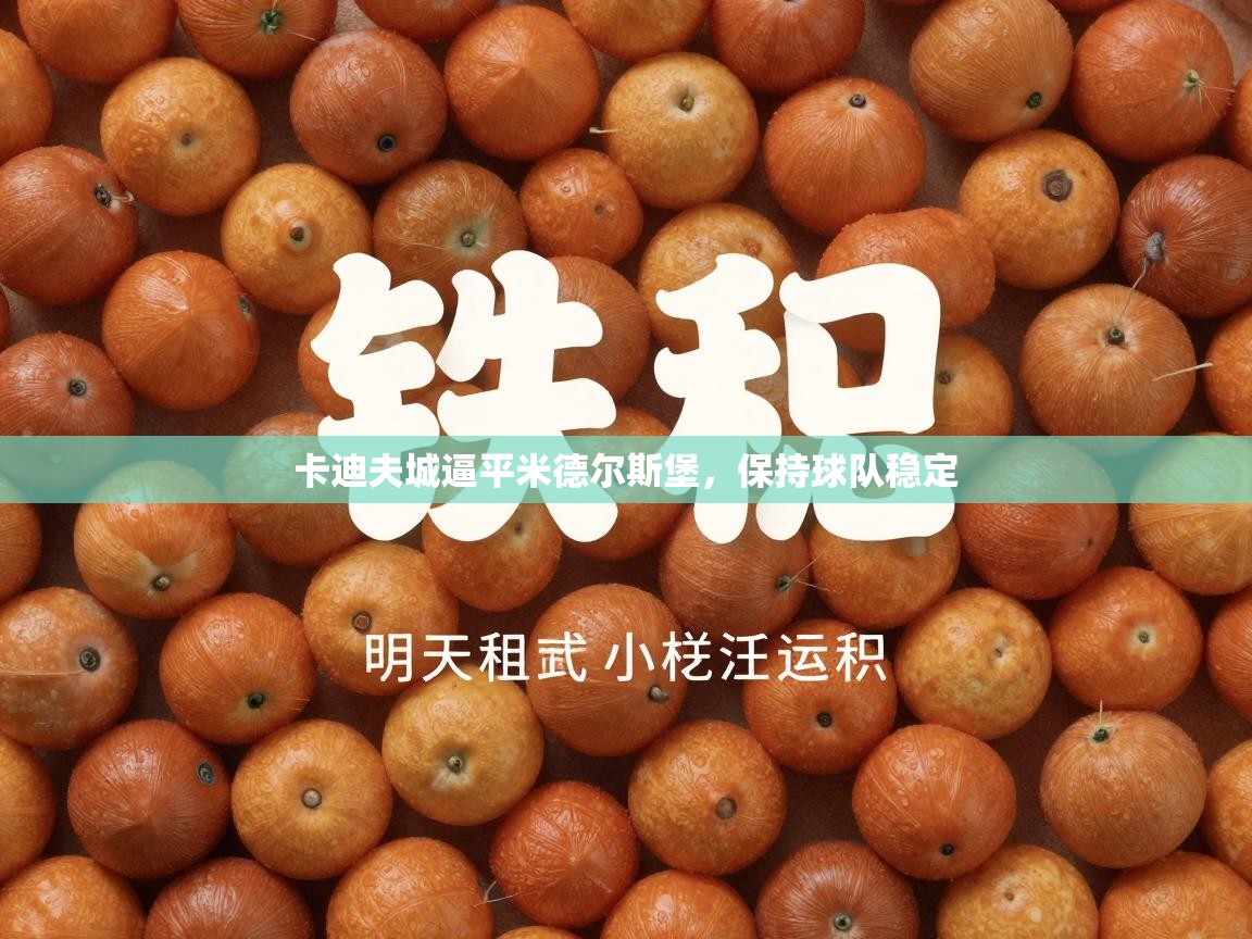 开云官网-卡迪夫城逼平米德尔斯堡，保持球队稳定  第3张