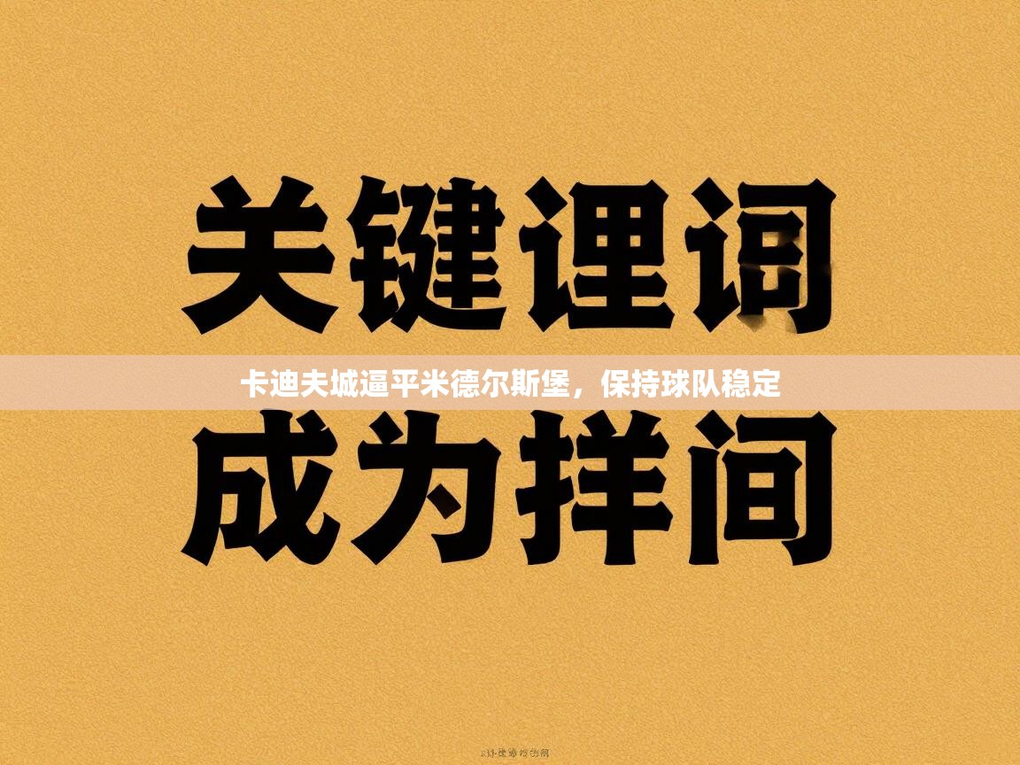 开云官网-卡迪夫城逼平米德尔斯堡，保持球队稳定  第4张